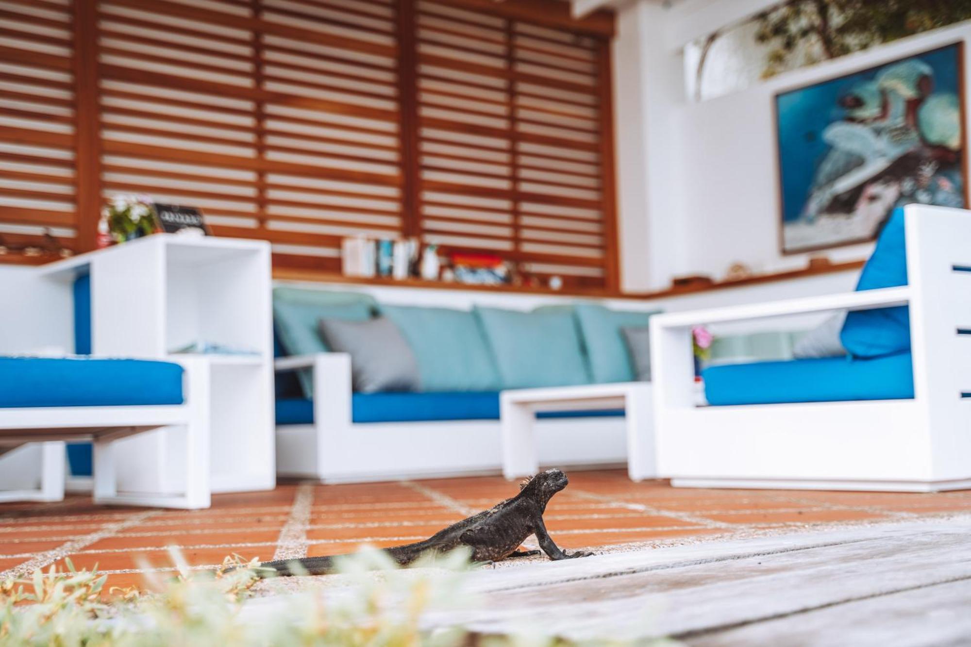 Hotel Cucuve Puerto Ayora  Εξωτερικό φωτογραφία